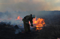 Сразу в нескольких районах Тульской области загорелись поля, Фото: 7