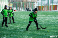В Туле стартовал турнир по хоккею в валенках среди школьников, Фото: 40