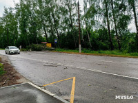 Ураган в Богучарово, Фото: 1