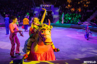 Туляков приглашают на новогоднее представление «Ёлка в цирке», Фото: 42