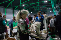 Выставка собак в Туле, Фото: 73