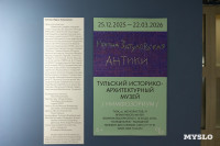 Диковинные «Антики» уже в Туле: в Нимфозориуме открылась выставка об «археологии повседневности», Фото: 4