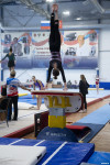 Всероссийские соревнования по спортивной гимнастике, Фото: 10
