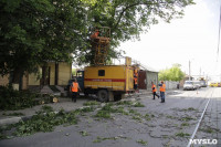 Упало дерево на провода на ул. Оборонной, Фото: 7