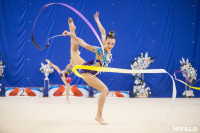 Соревнования по художественной гимнастике на призы благотворительного фонда «Земляки», Фото: 193