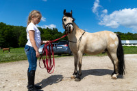 А пони тоже кони: 9-летняя тулячка – числе лучших в конном спорте по выездке, Фото: 13