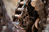 Железный хамелеон тульского умельца, Фото: 9