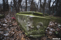 Кладбища Алексина зарастают мусором и деревьями, Фото: 19