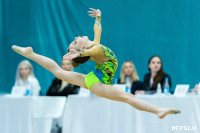 Тула провела крупный турнир по художественной гимнастике, Фото: 134