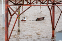 Вышедшая из берегов Упа полностью скрыла набережную в Туле: фоторепортаж, Фото: 56