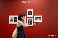 В тульском Фонде искусств открылась выставка, посвященная Майе Плисецкой, Фото: 23