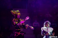 Шоу фонтанов «13 месяцев»: успей увидеть уникальную программу в Тульском цирке, Фото: 247