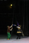 В Тульском цирке прошла премьера аква-шоу, Фото: 29