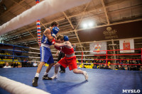 Турнир по боксу «Гран-при Тулы», Фото: 104