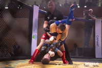 Турнир по ММА памяти Алексея Калинина собрал лучших бойцов страны: фоторепортаж, Фото: 26