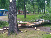 Комсомольский парк после шторма, Фото: 13