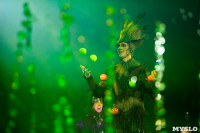 Шоу фонтанов «13 месяцев»: успей увидеть уникальную программу в Тульском цирке, Фото: 173