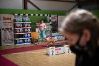 В Туле прошла выставка собак всех пород, Фото: 145