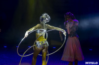Шоу фонтанов «13 месяцев» в Тульском цирке – подарите себе и близким путевку в сказку!, Фото: 48