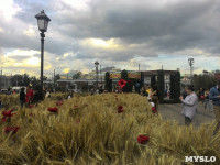Цветочный джем: Тульское поле в Москве, Фото: 7