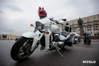 Тульские байкеры рассказали, чем запомнился мотосезон-2025, Фото: 100