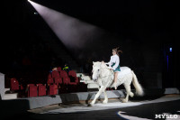 Премьера новогоднего шоу в Тульском цирке, Фото: 48