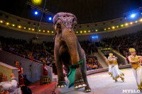 Цирк Инди Ра, Фото: 107