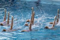 первенство цфо по синхронному плаванию, Фото: 134