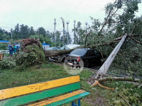 Поваленные деревья на ул. Пузакова, Фото: 18