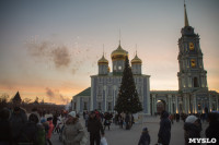 В Тульском кремле открылась новогодняя елка, Фото: 35