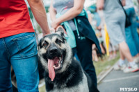 Всероссийская выставка собак в Туле, Фото: 38