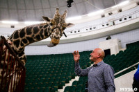 Цирк больших зверей в Туле: милый жираф Багир готов целовать и удивлять зрителей, Фото: 11