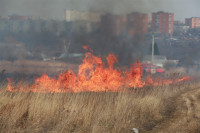 Возгорание сухой травы напротив ТЦ "Метро", 7.04.2014, Фото: 30