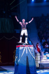 "Чудеса под Новый год" в Тульском цирке, Фото: 83