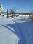 Туляк проинспектировал улицу Карпова, Фото: 7