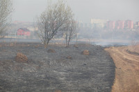 Возгорание сухой травы напротив ТЦ "Метро", 7.04.2014, Фото: 21