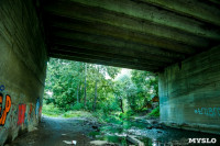 Рейд Myslo: в каком состоянии Тульские мосты, Фото: 88