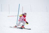 Третий этап первенства Тульской области по горнолыжному спорту., Фото: 31