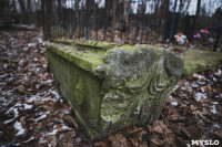Кладбища Алексина зарастают мусором и деревьями, Фото: 21