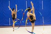 В Туле стартовало первенство Центрального федерального округа по художественной гимнастике, Фото: 62