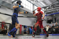 В Новомосковске прошел Чемпионат и Первенство Тульской области по ММА, Фото: 174