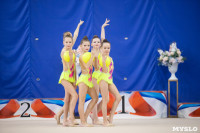 Соревнования по художественной гимнастике на призы благотворительного фонда «Земляки», Фото: 134