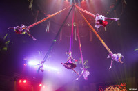 Шоу Гии Эрадзе «5 континентов» в Тульском цирке: феерия уже началась!, Фото: 103