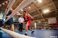 Турнир по боксу «Гран-при Тулы», Фото: 67