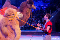 На каникулах – в Цирк больших зверей, Фото: 142