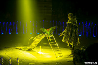 Шоу фонтанов «13 месяцев» в Тульском цирке – подарите себе и близким путевку в сказку!, Фото: 29