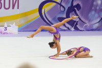 Художественная гимнастика, Фото: 54
