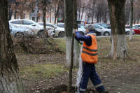 Вдоль веломаршрута «Лев Толстой» начали высаживать липы, Фото: 8