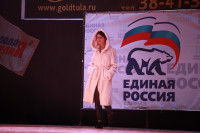 Мисс Тульская область - 2014, Фото: 258