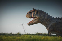 Парк динозавров, Фото: 2